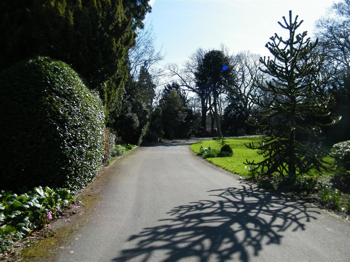 COMMUNAL GARDENS